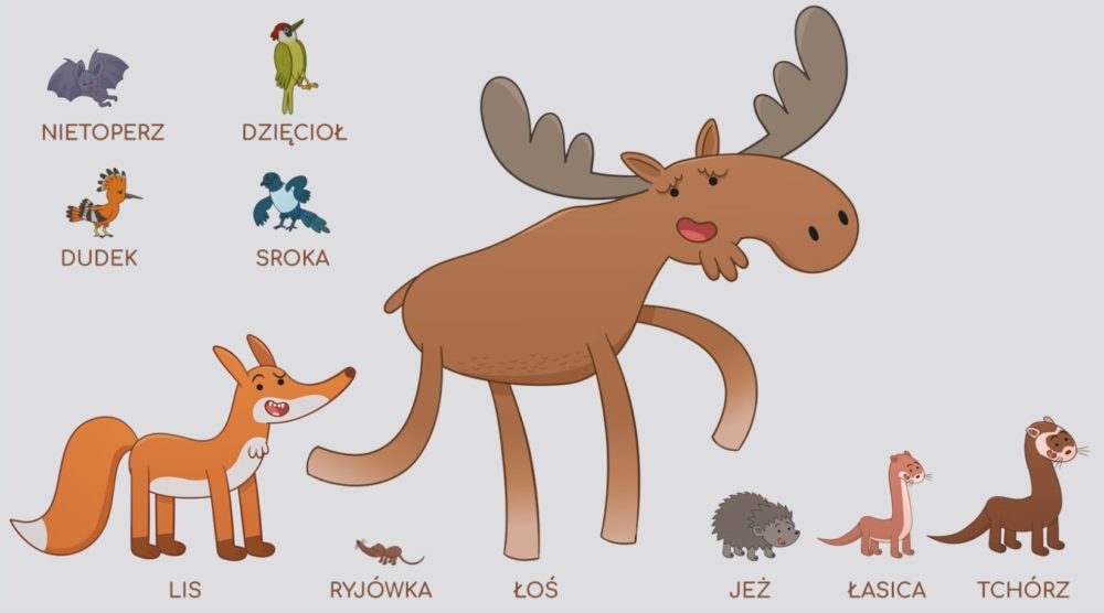 zabawa z dzieckiem